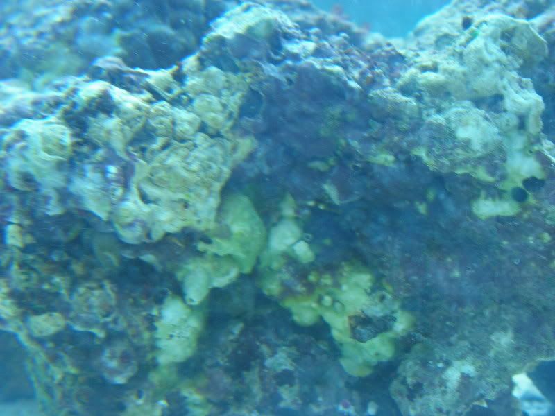 PC270143.jpg