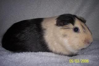cucumber15.jpg