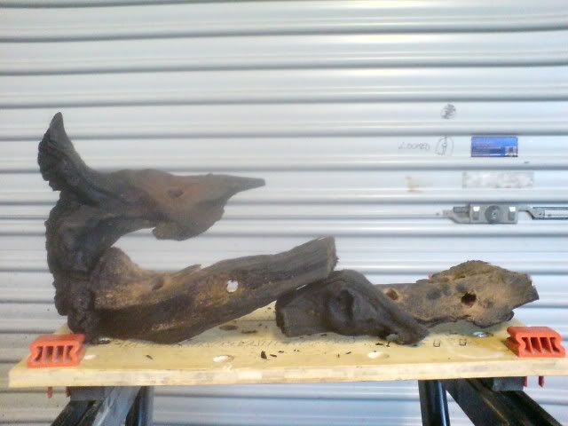 DSC01077.jpg