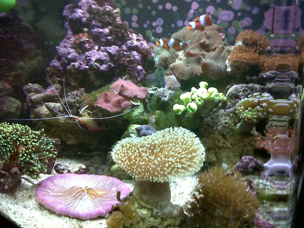 IMG00016-20100223-0806.jpg