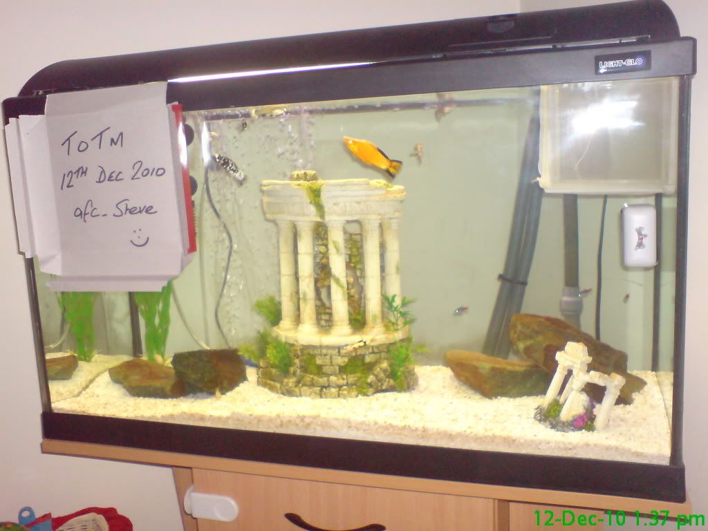 DSC00410.jpg