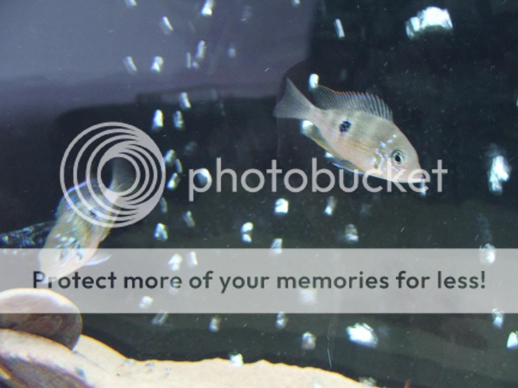 DSCF7048.jpg