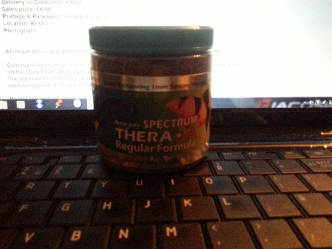 20121225_212541.jpg