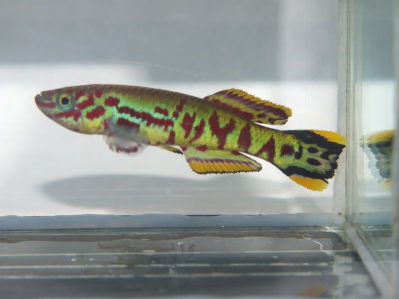 DSCF1393.jpg