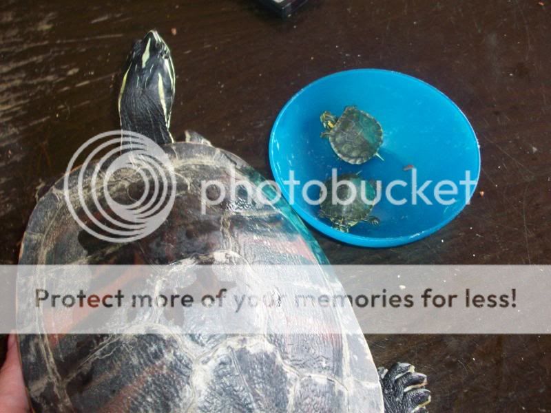 100_3507.jpg