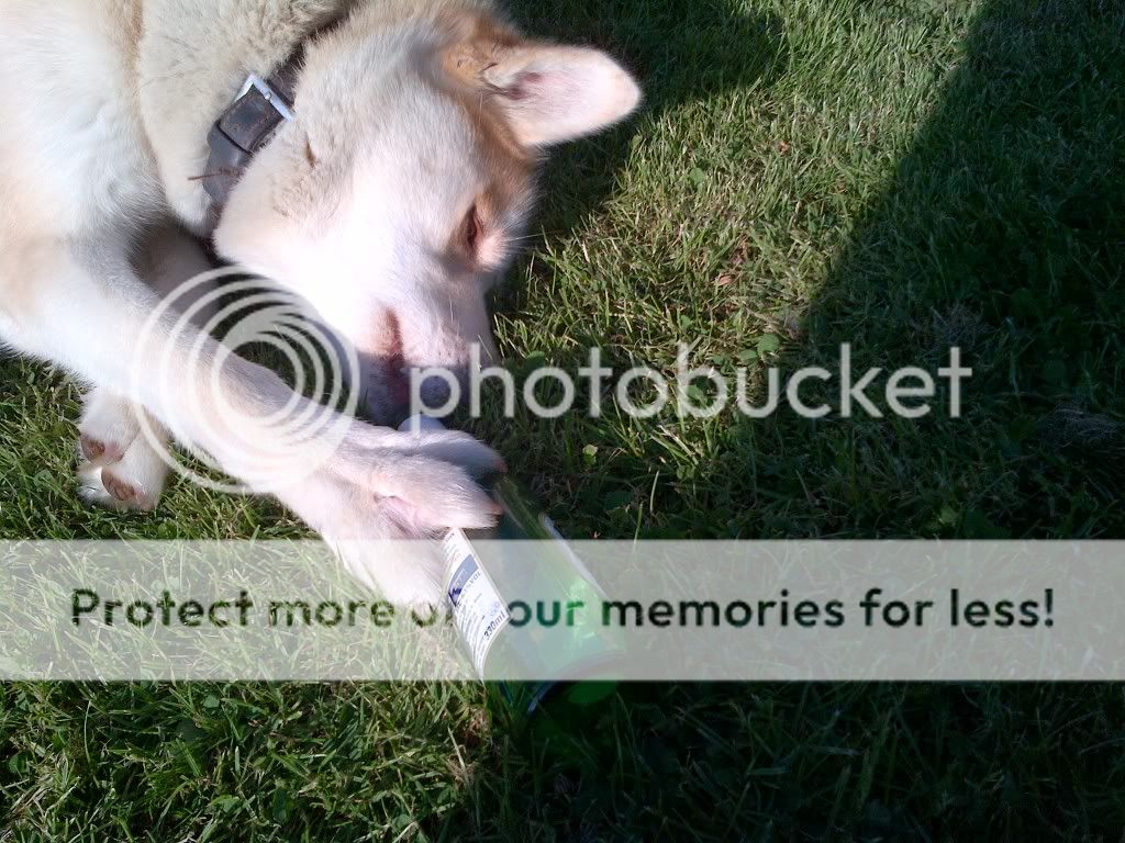 EastLindsey-20120527-00028_zps8c981cd4.jpg