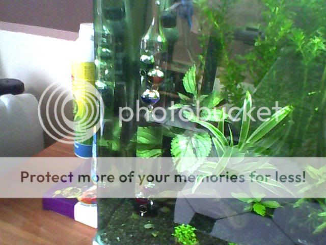 Image_00046-2.jpg