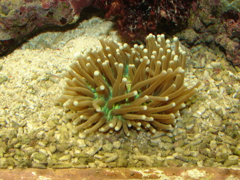DSC02814.jpg
