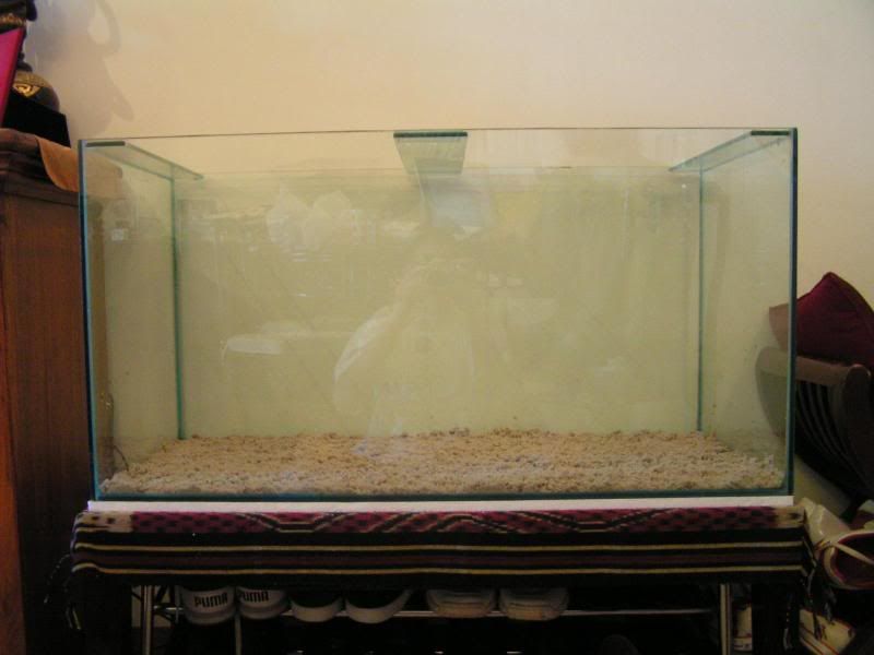 PICT1110.jpg