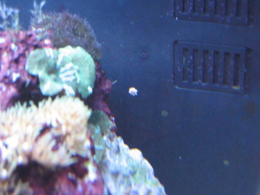 IMG_1868.jpg