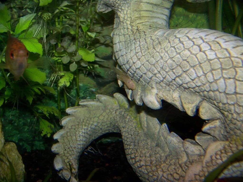 100_1742.jpg