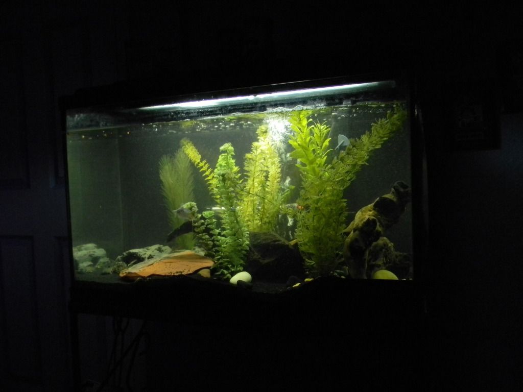 DSCN0023.jpg