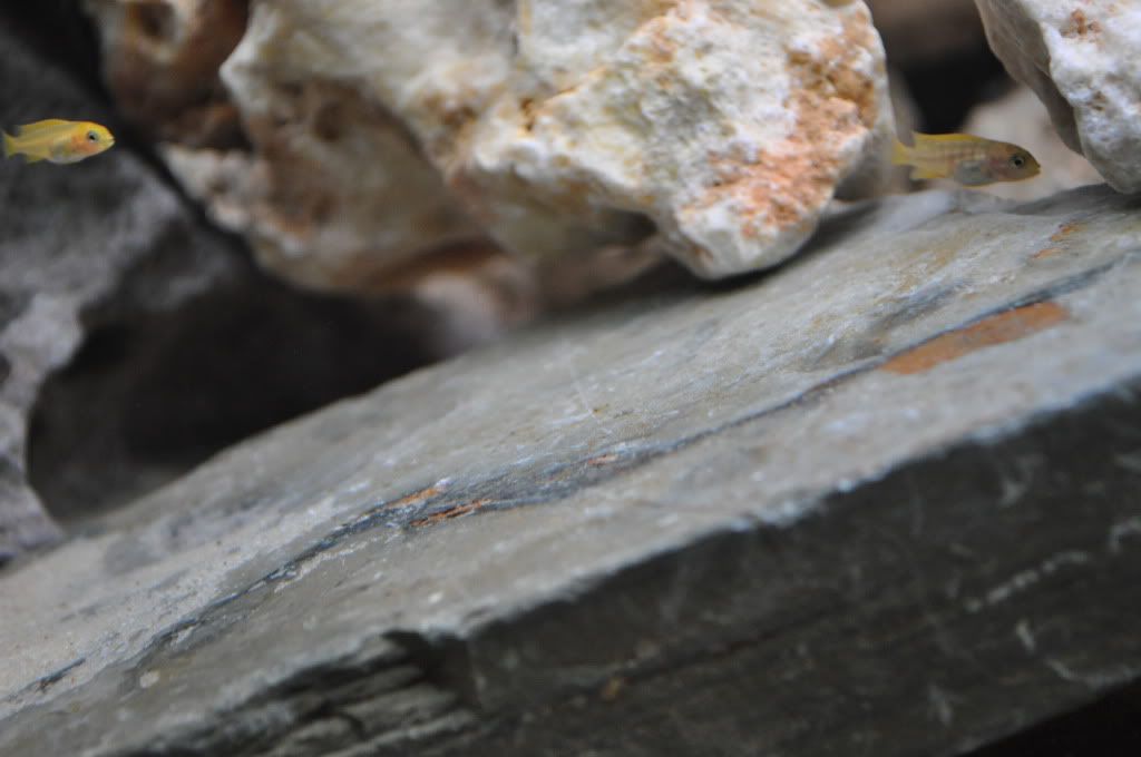 DSC_0550.jpg