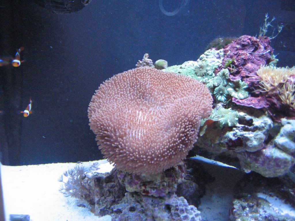 IMG_1828.jpg