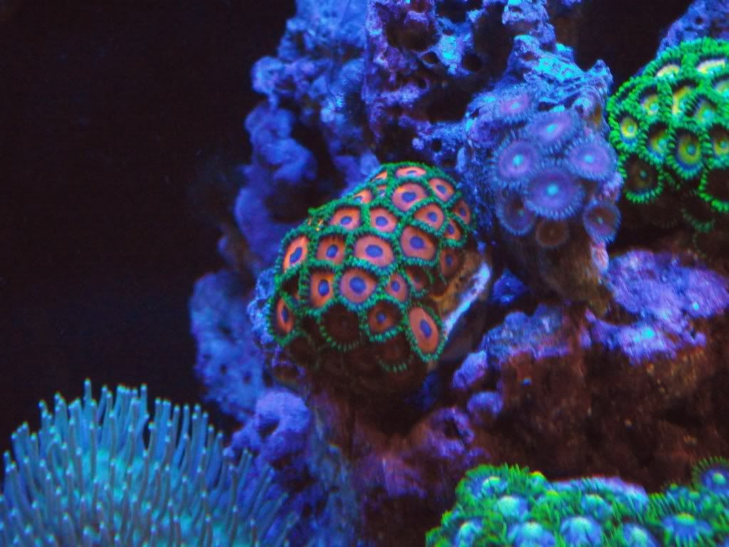 DSCF2071.jpg