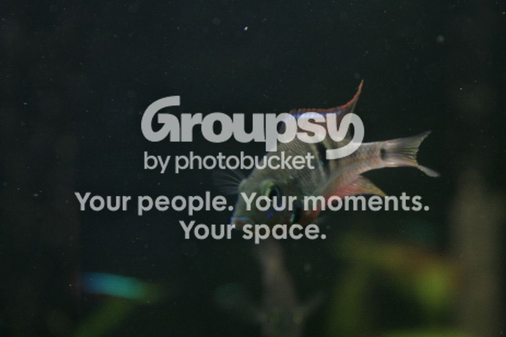 Firemouth3.jpg