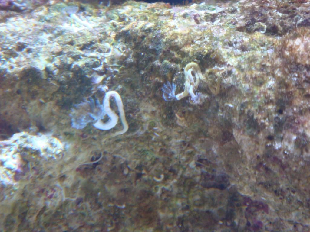 DSC01673.jpg