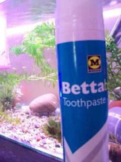 100_0139.jpg