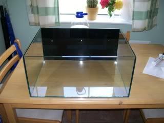 Picture542-1.jpg