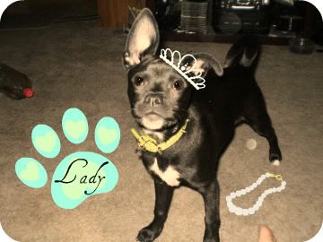 Lady02.jpg