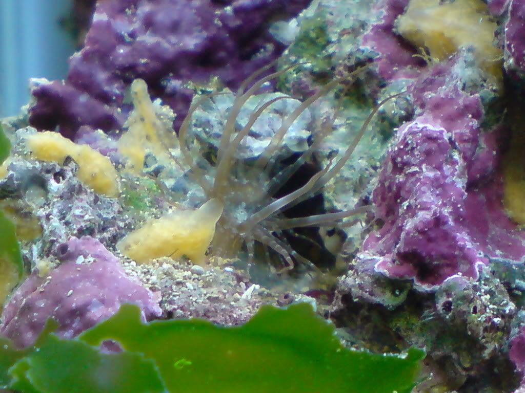 DSC00722.jpg
