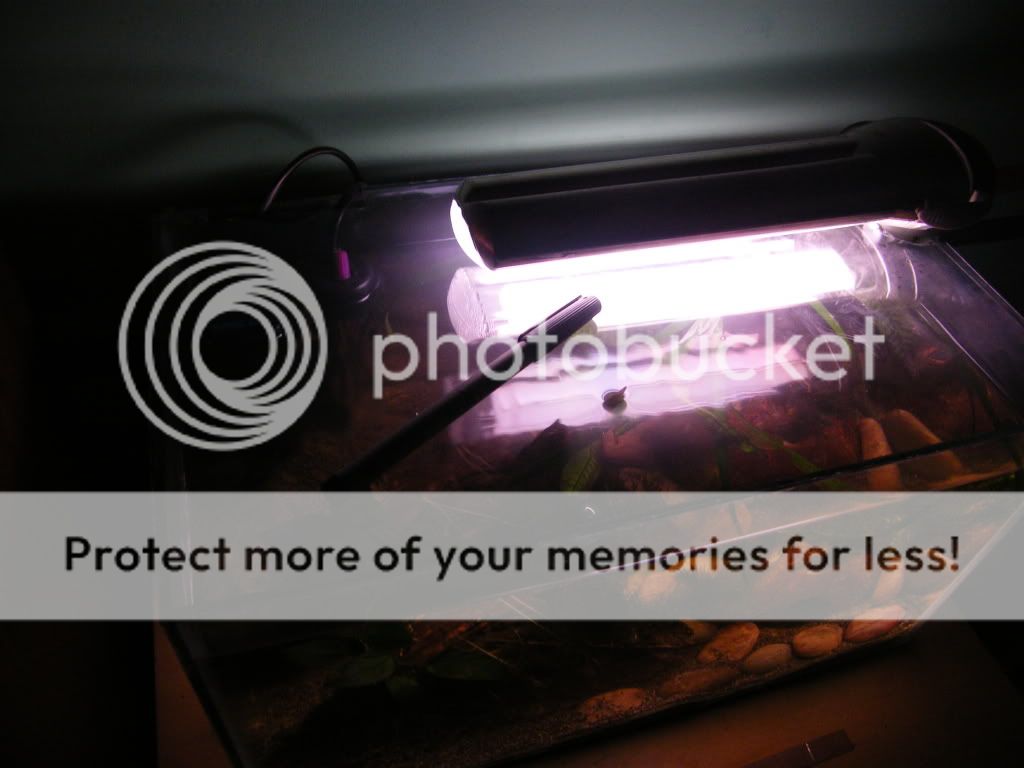 DSCF4524.jpg