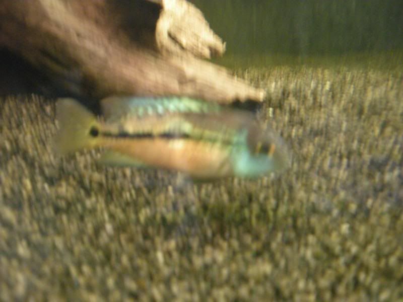 DSCN2467.jpg