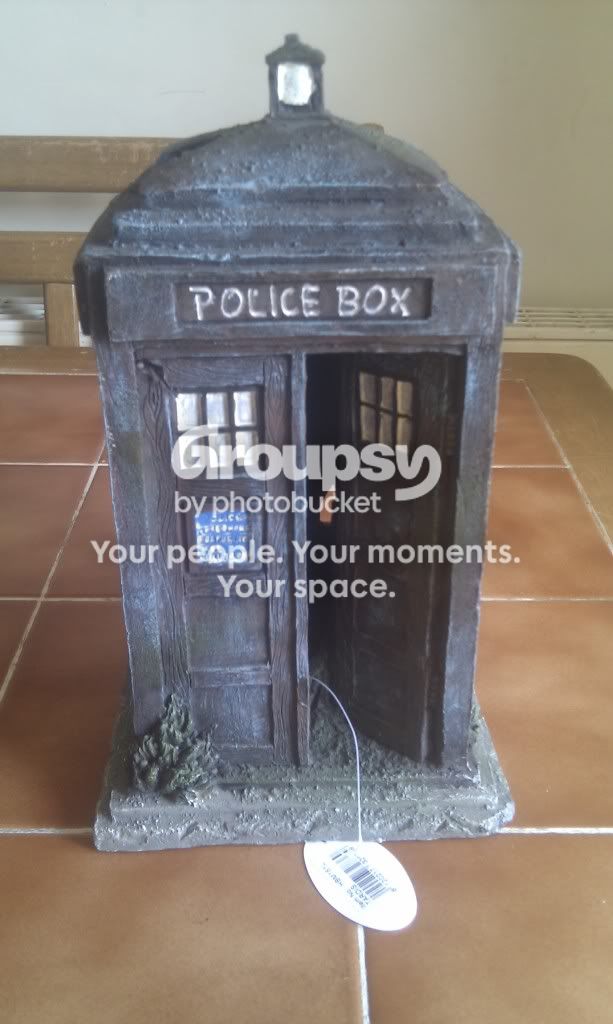 IMAG0020.jpg