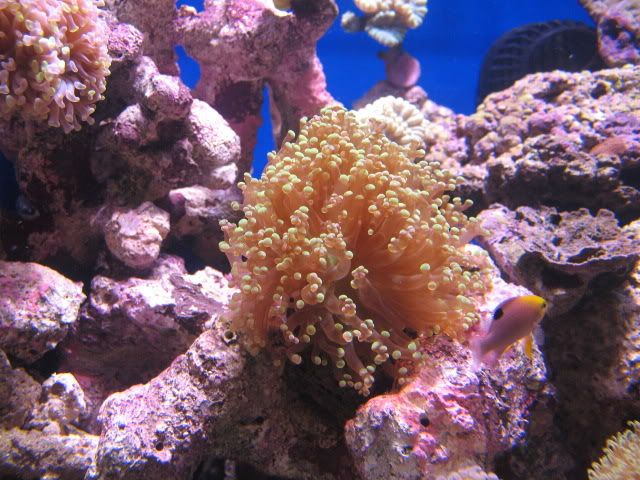 IMG_1669.jpg