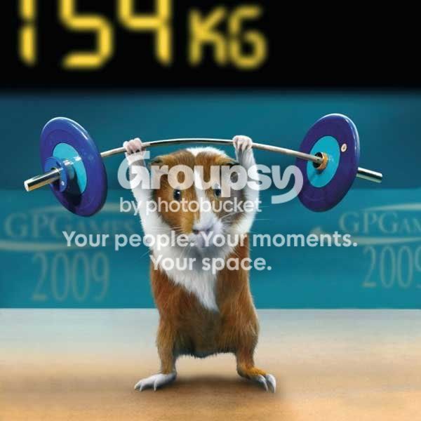 hamster.jpg