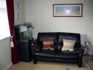 100_1029.jpg