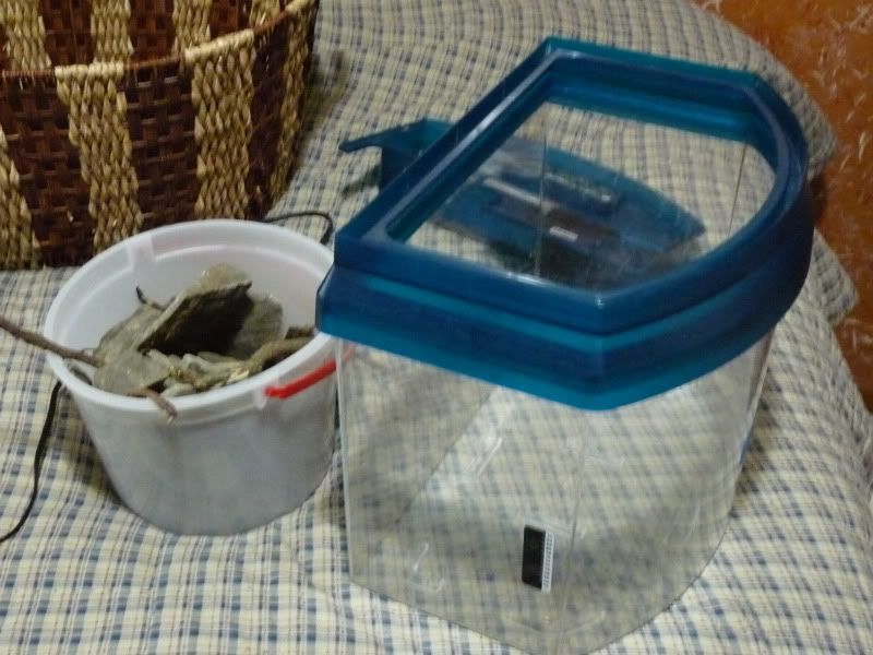 P1080446.jpg