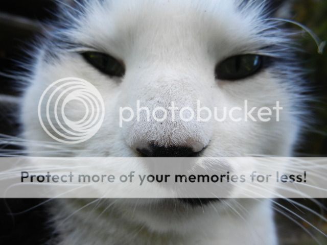 DSCN2266.jpg