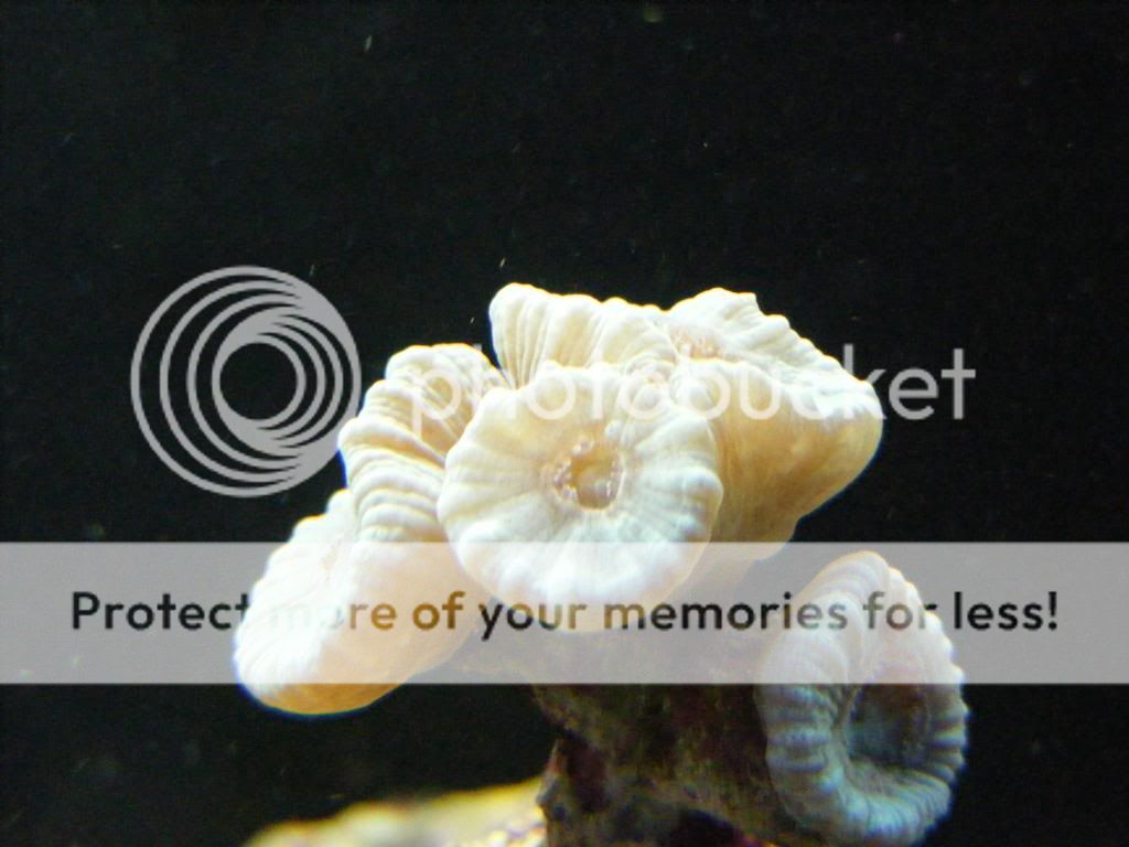 DSCF2848.jpg