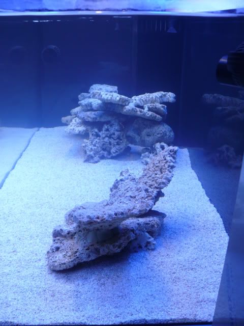 P1060041.jpg