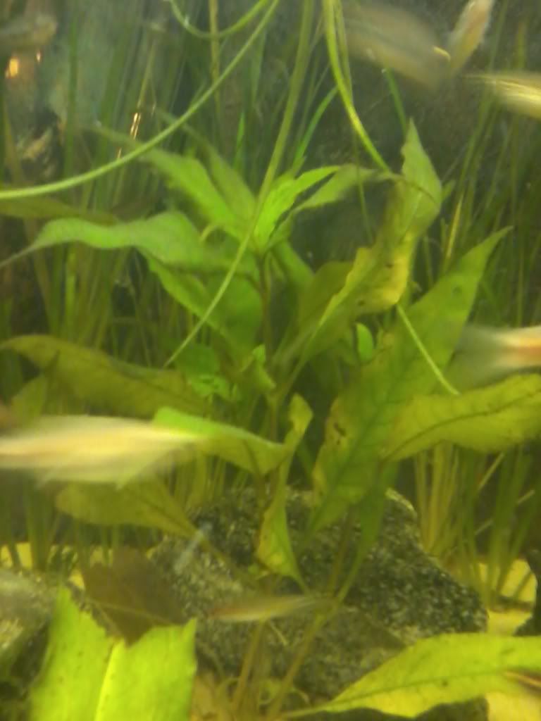 2011-01-12180542.jpg