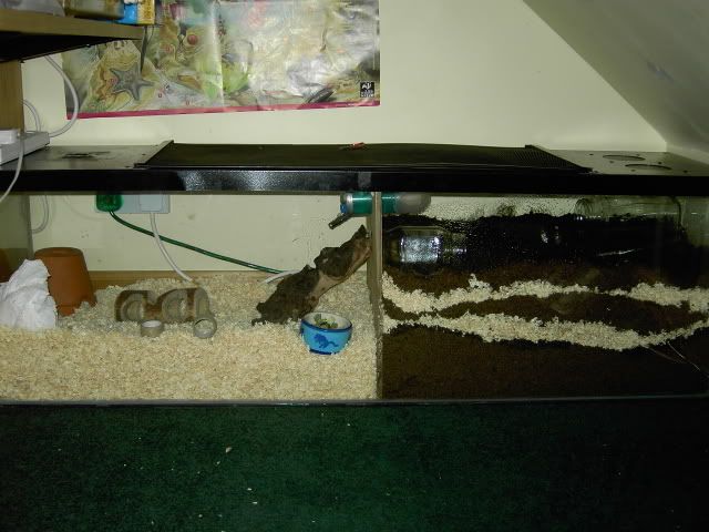 PICT0340.jpg