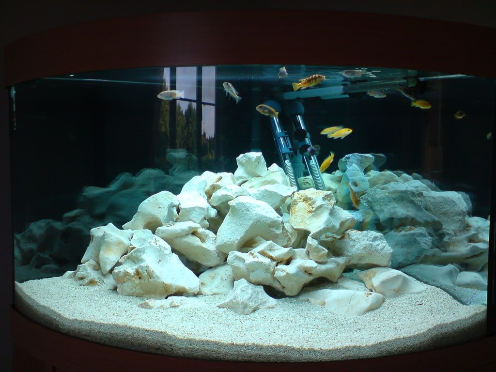 DSC00171.jpg