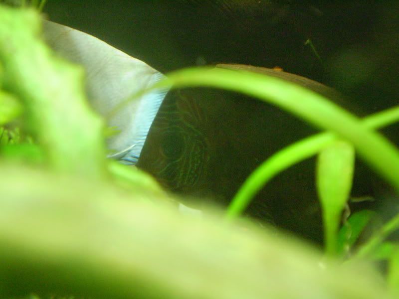 P9020115.jpg