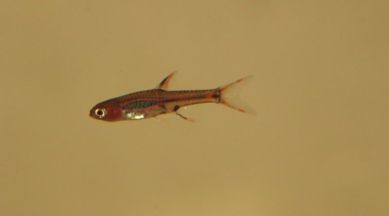 IMG_0791.jpg
