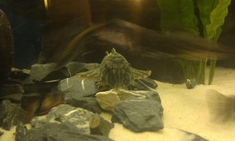 IMAG0750.jpg