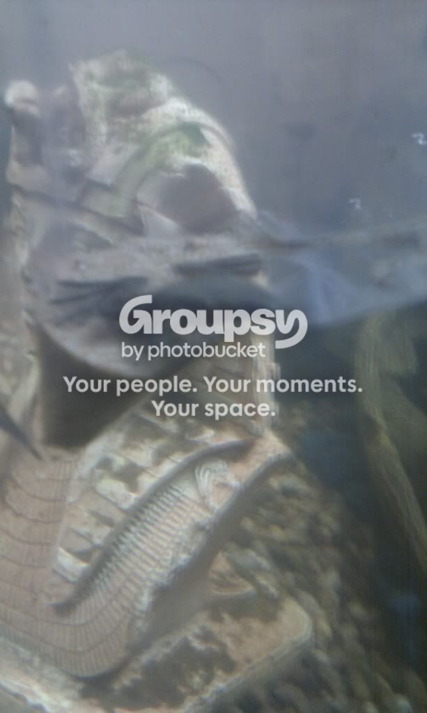 IMAG0032.jpg