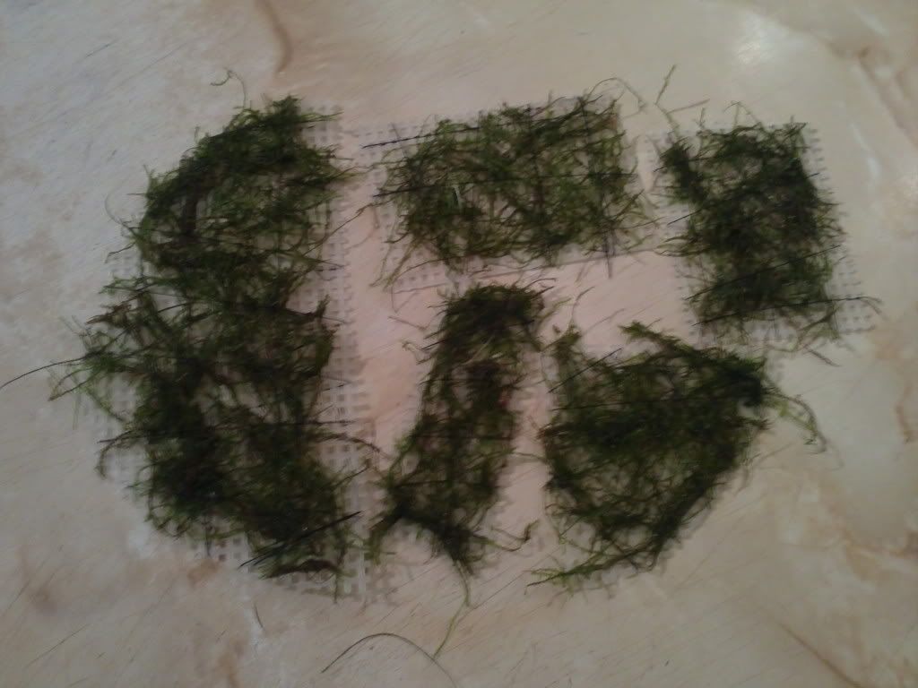 01122011228.jpg