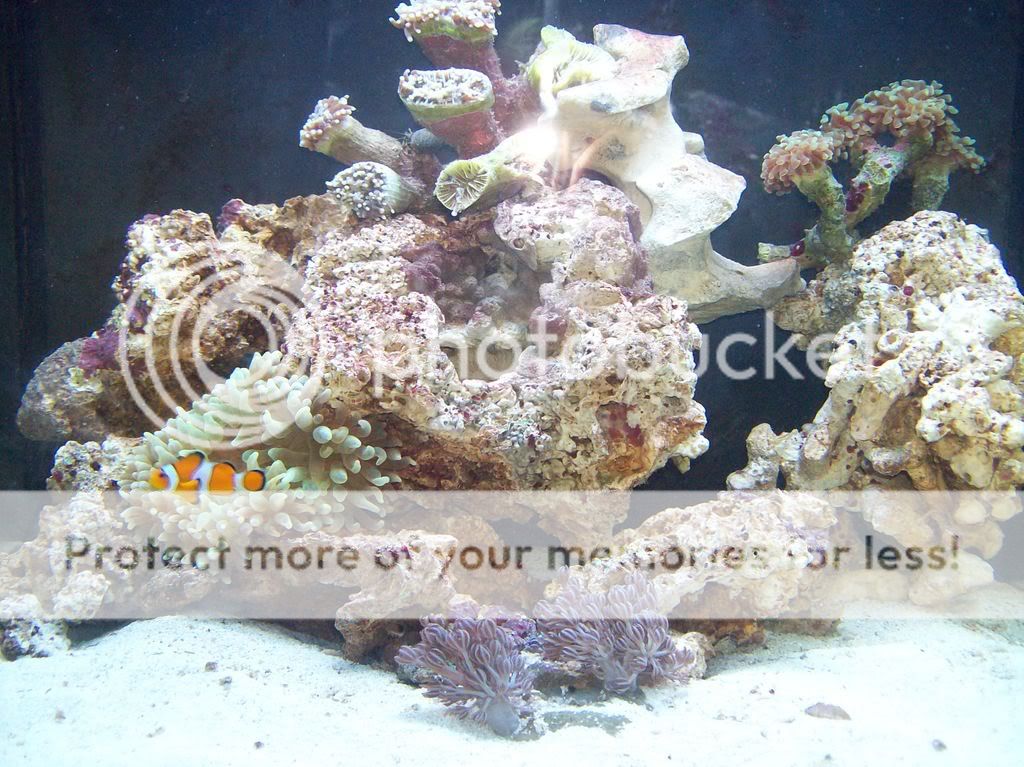 aquarium003.jpg