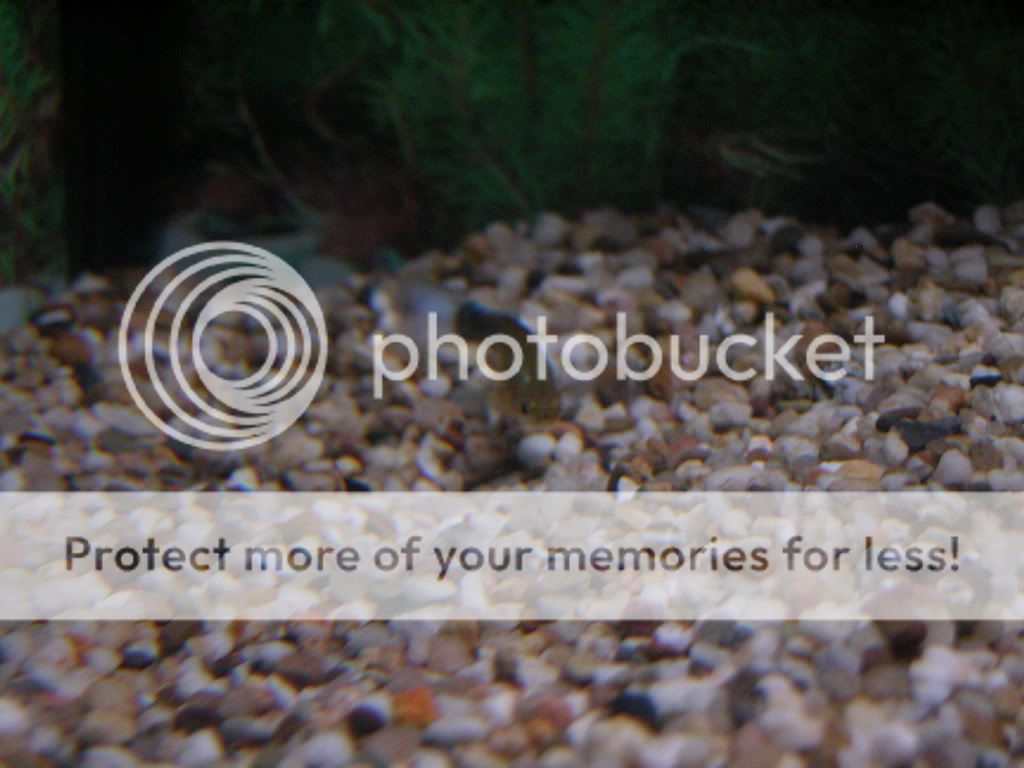 DSCN2928.jpg