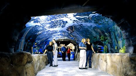 tunnel_topphoto.jpg