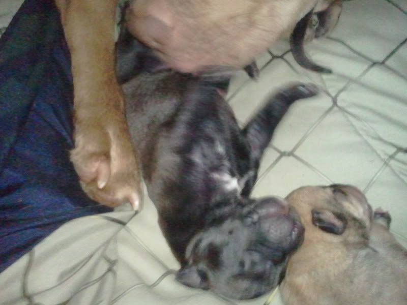 2012-07-15154810.jpg