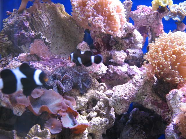 IMG_1677.jpg