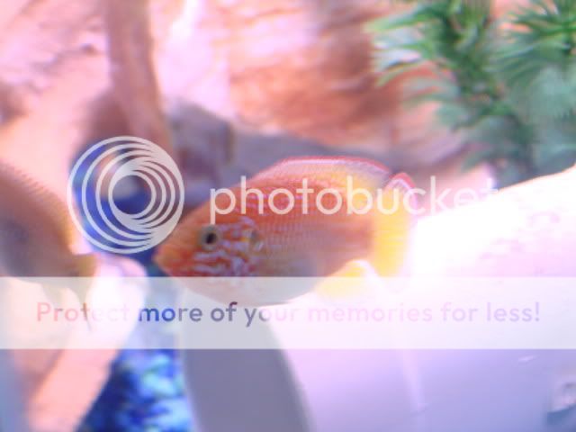 DSC01406.jpg