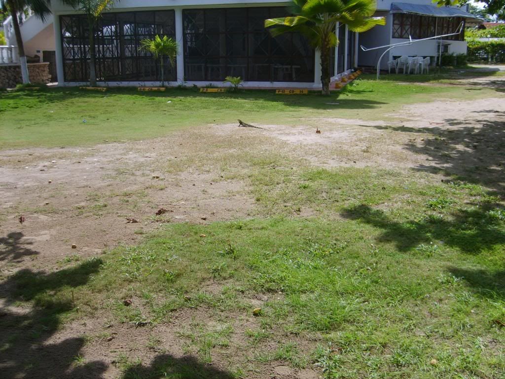 S5008308.jpg